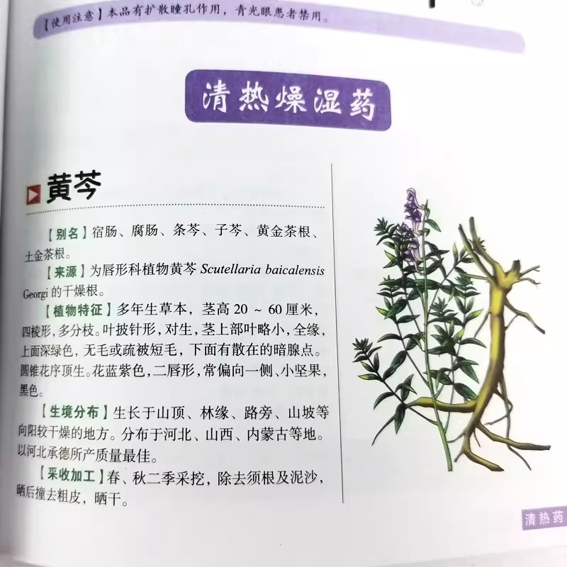 Книга «Древний гербарий: Целос – обзор и цена Wellness Herbal Medicine
